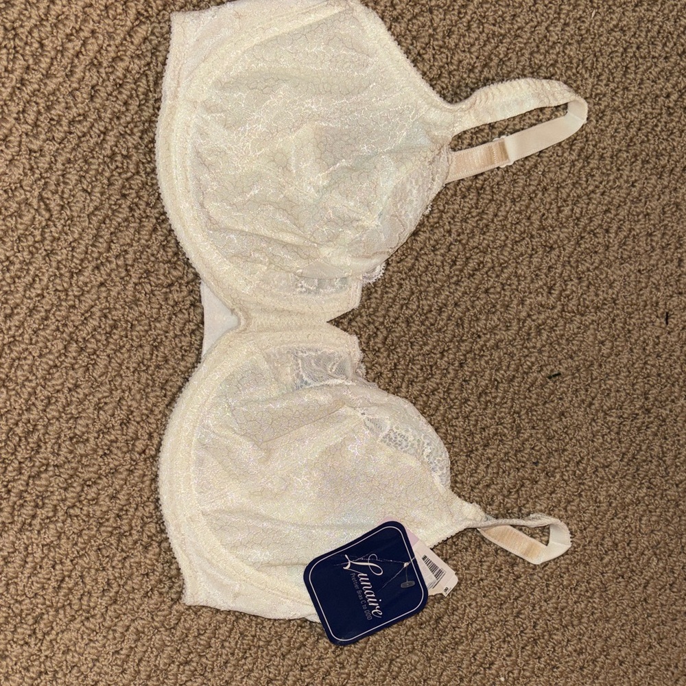 Sheer Lace Full-Coverage Bra in cream 36dd